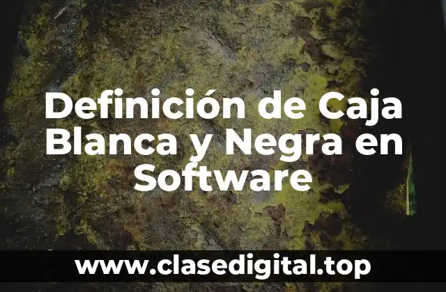 Definición de Caja Blanca y Negra en Software