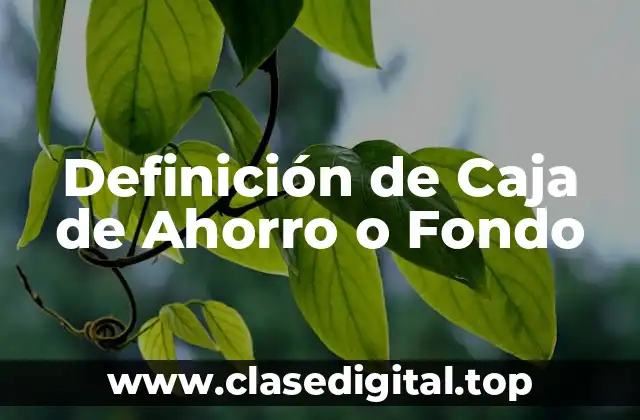 Definición de Caja de Ahorro o Fondo