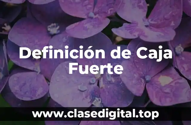 Definición de Caja Fuerte