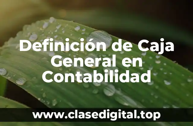 Definición de Caja General en Contabilidad
