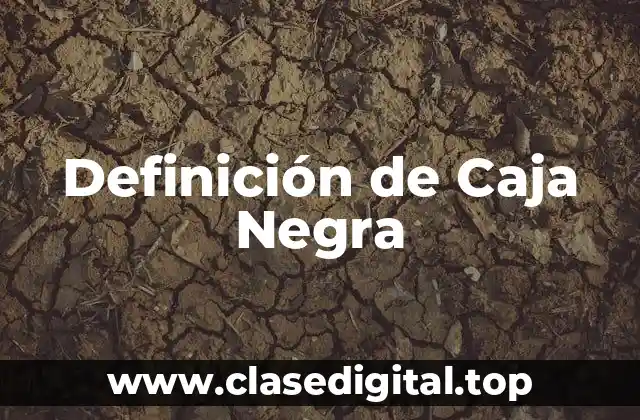 Definición de Caja Negra