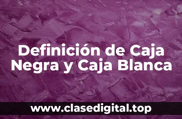 Definición de Caja Negra y Caja Blanca