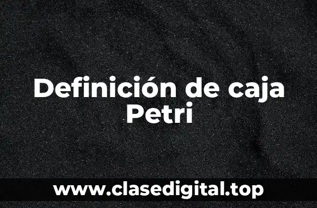 Definición de caja Petri