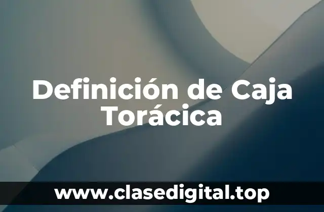 Definición de Caja Torácica