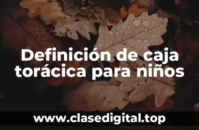 Definición de caja torácica para niños