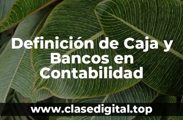 Definición de Caja y Bancos en Contabilidad
