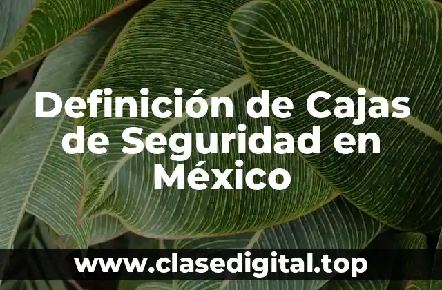 Definición de Cajas de Seguridad en México