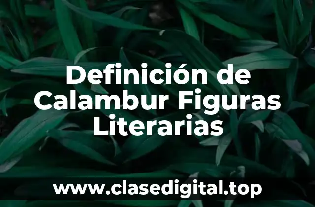 Definición de Calambur Figuras Literarias