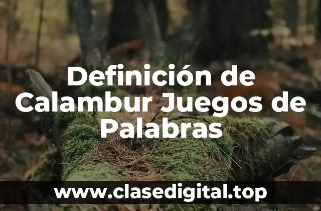 Definición de Calambur Juegos de Palabras
