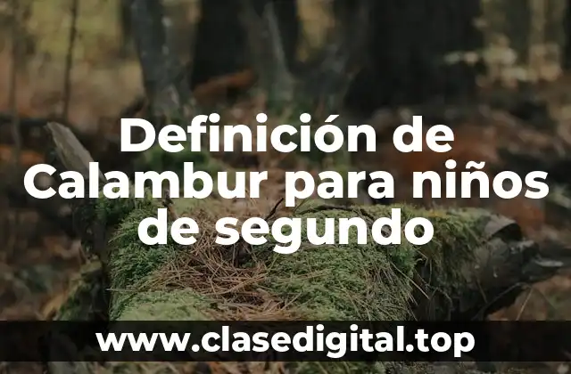 Definición de Calambur para niños de segundo