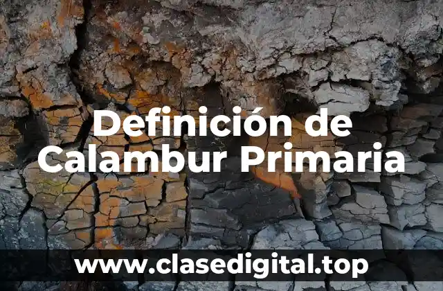 Definición de Calambur Primaria