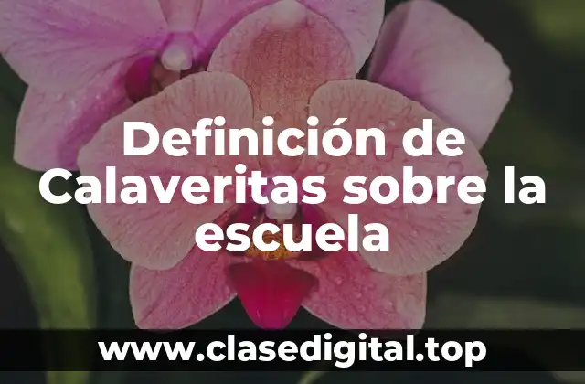 Definición de Calaveritas sobre la escuela
