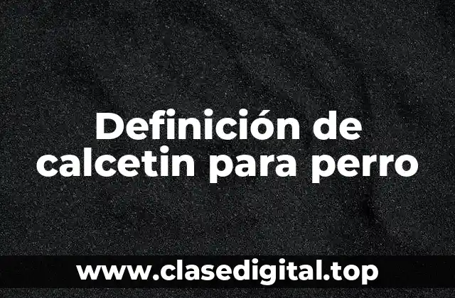 Definición de calcetin para perro