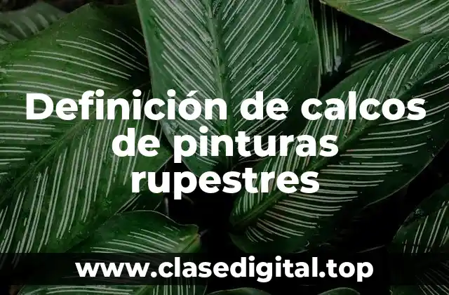 Definición de calcos de pinturas rupestres