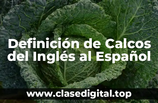 Definición de Calcos del Inglés al Español