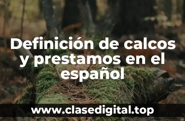 Definición de calcos y prestamos en el español