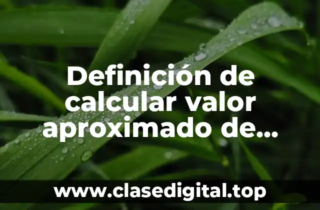 Definición de calcular valor aproximado de raices aplicadas
