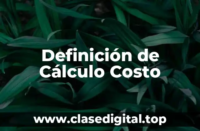 Definición de Cálculo Costo