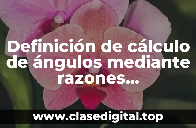 Definición de cálculo de ángulos mediante razones trigonométricas