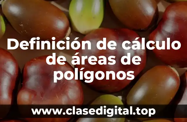 Definición de cálculo de áreas de polígonos