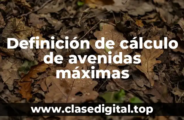 Definición de cálculo de avenidas máximas