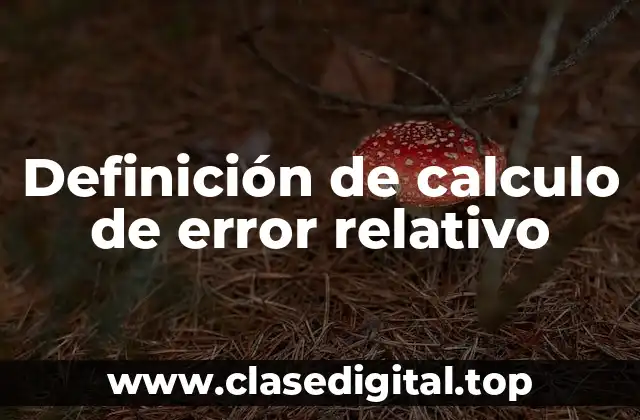 Definición de calculo de error relativo