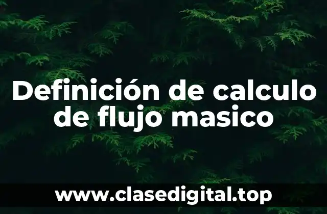 Definición de calculo de flujo masico