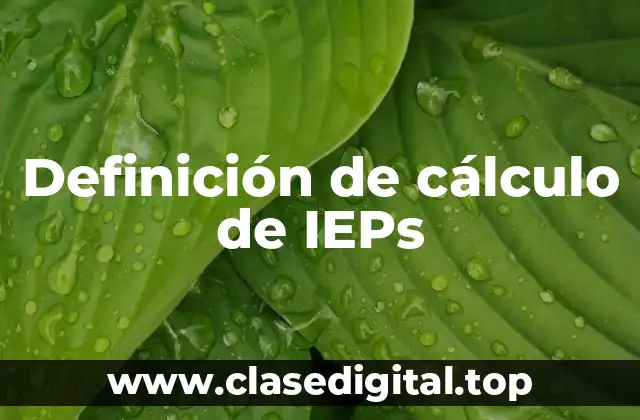 Definición de cálculo de IEPs