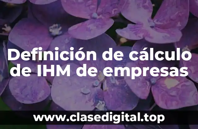 Definición de cálculo de IHM de empresas