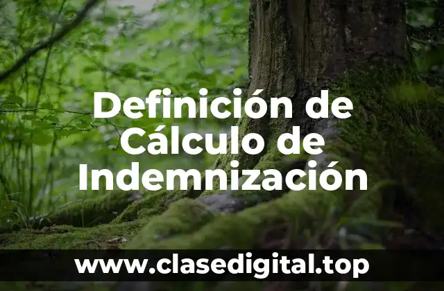 Definición de Cálculo de Indemnización