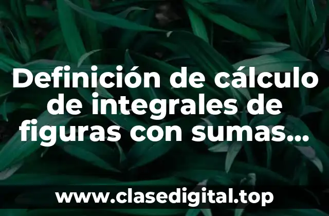 Definición de cálculo de integrales de figuras con sumas ramalas