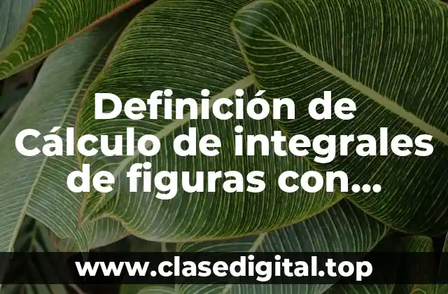 Definición de Cálculo de integrales de figuras con sumas riamales