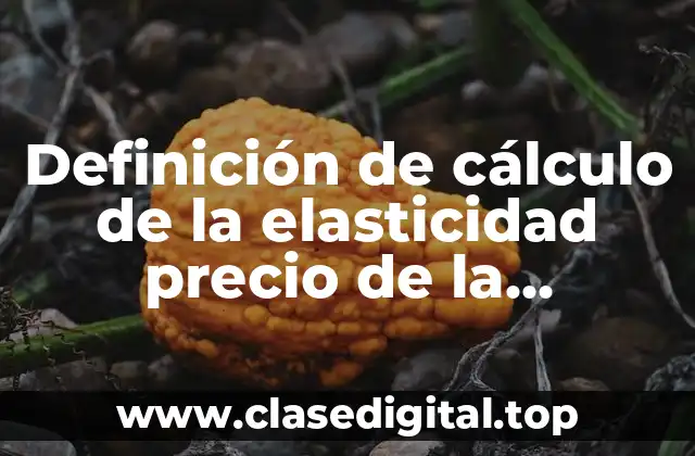 Definición de cálculo de la elasticidad precio de la demanda