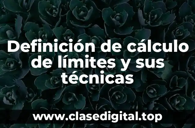 Definición de cálculo de límites y sus técnicas