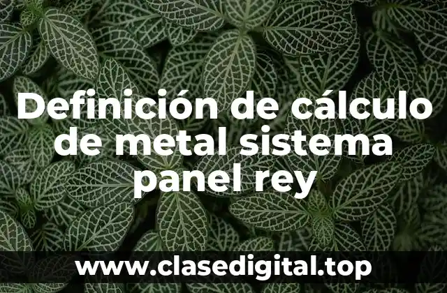 Definición de cálculo de metal sistema panel rey