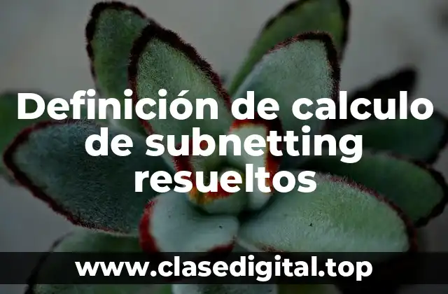 Definición de calculo de subnetting resueltos