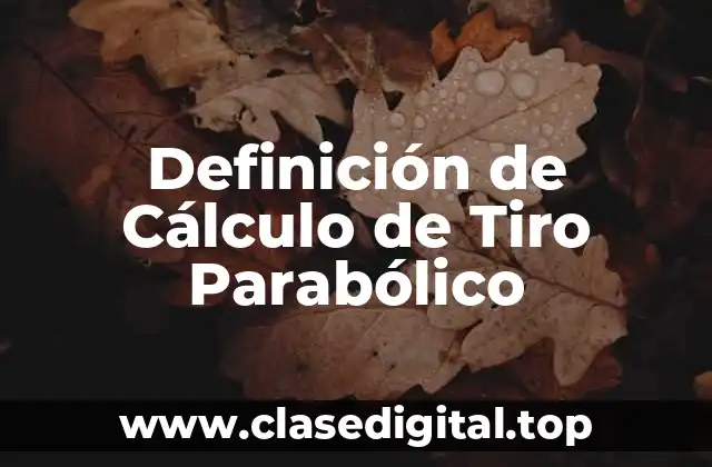 Definición de Cálculo de Tiro Parabólico