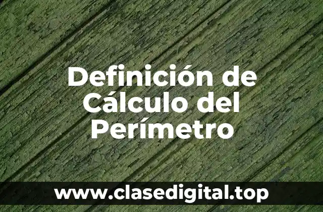 Definición de Cálculo del Perímetro
