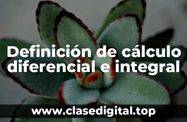 Ejemplos de cálculo diferencial e integral