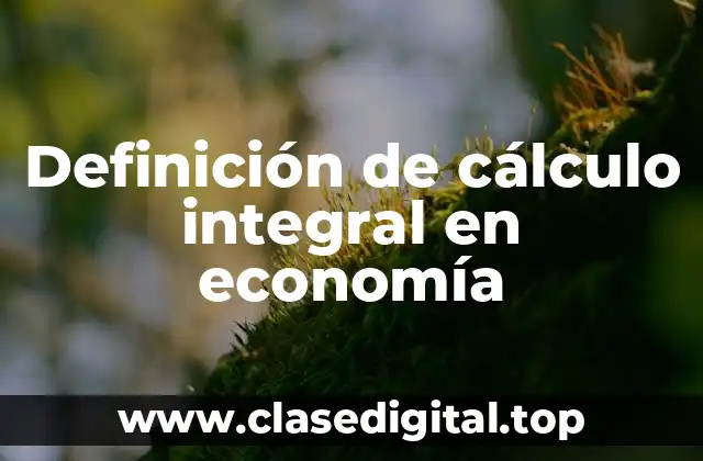 Definición de cálculo integral en economía
