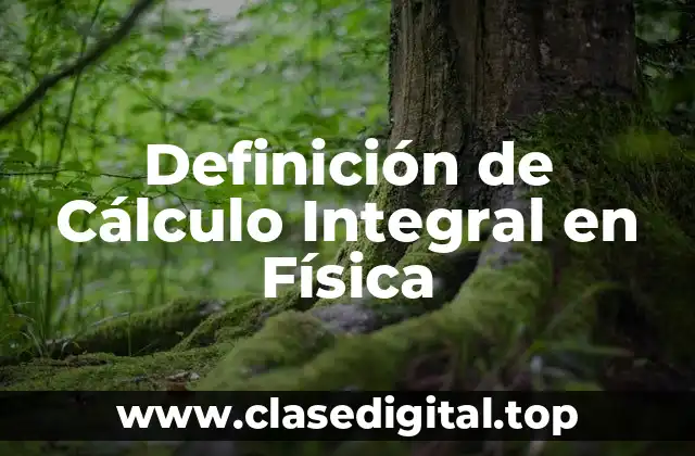 Definición de Cálculo Integral en Física