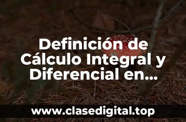 Definición de Cálculo Integral y Diferencial en Matemáticas