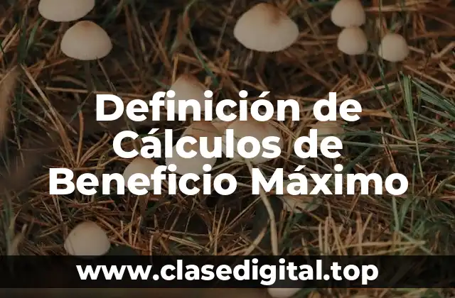 Definición de Cálculos de Beneficio Máximo