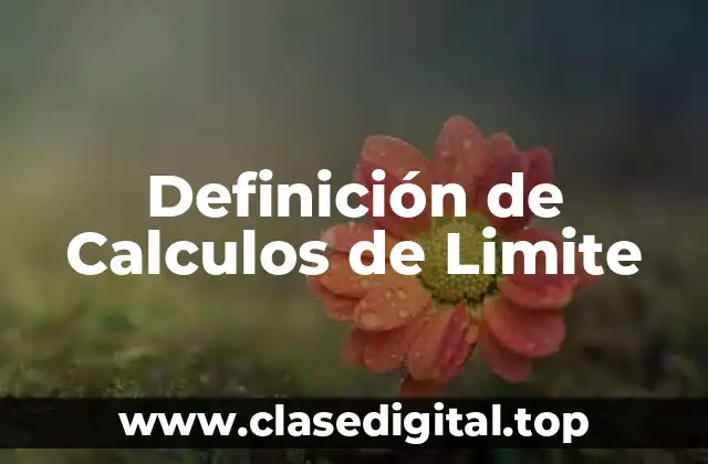 Definición de Calculos de Limite
