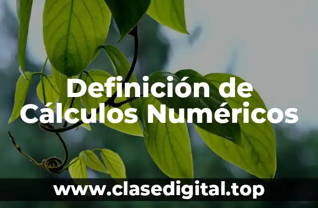 Definición de Cálculos Numéricos