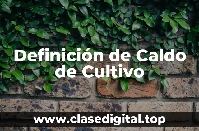 Definición de Caldo de Cultivo