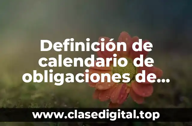 Definición de calendario de obligaciones de personas morales