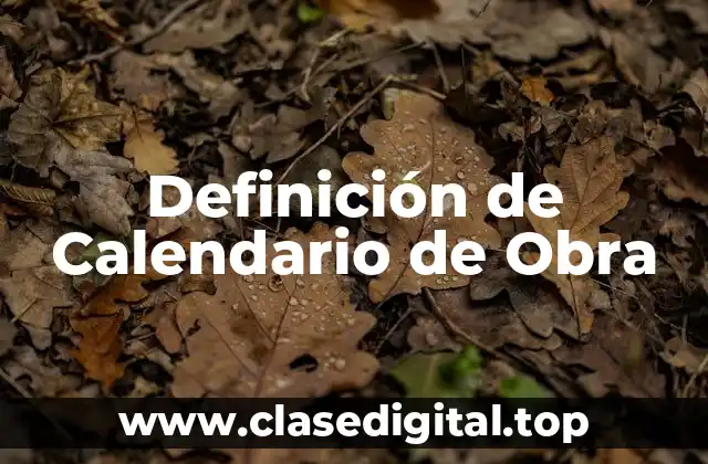Ejemplos de Calendario de Obra