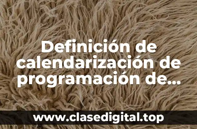 Definición de calendarización de programación de inversión