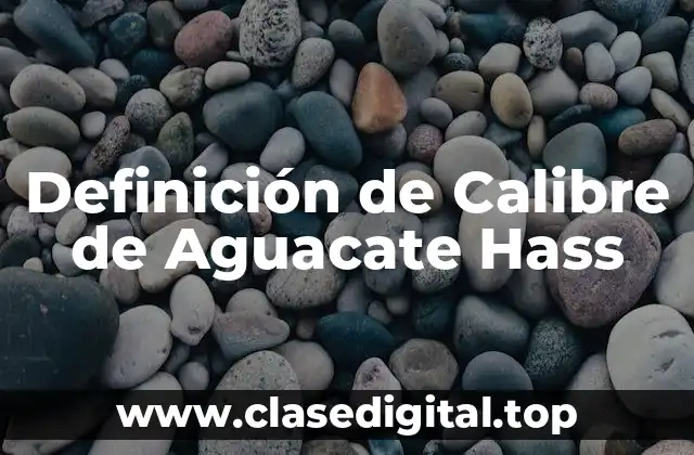 Definición de Calibre de Aguacate Hass